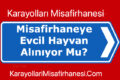Karayollari Misafirhanesine Evcil Hayvan Alinuyor mu