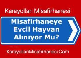 Karayollari Misafirhanesine Evcil Hayvan Alinuyor mu